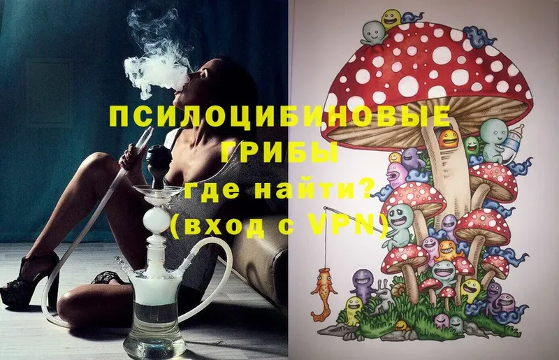 Галлюциногенные грибы MAGIC MUSHROOMS Дудинка